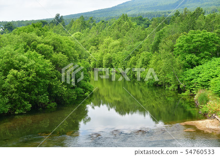 拍攝北海道京極町的Shiribetsu河綠地的夏日風景 拍攝北海道京極町的Shiribetsu河綠地的夏日風景 54760533