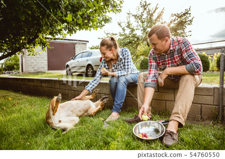 Young and happy farmer's couple at their garden in sunny day Young and happy farmer's couple at their garden in sunny day 54760550