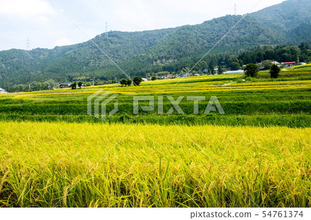 Fall of the Shayin Tanada Fall of the Shayin Tanada 54761374