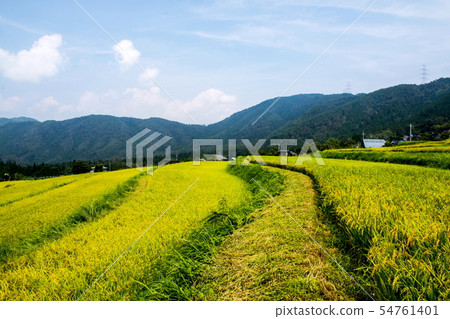 Fall of the Shayin Tanada Fall of the Shayin Tanada 54761401
