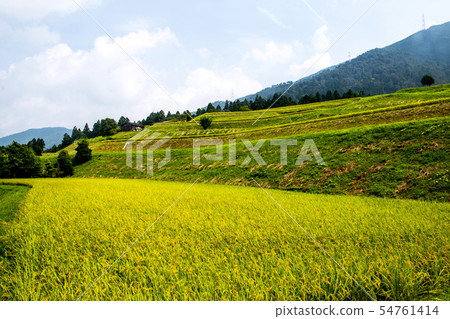 Fall of the Shayin Tanada Fall of the Shayin Tanada 54761414