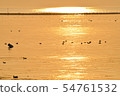 Sunset scenery and waterfowl of Lake Biwa 54761532