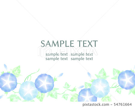 Morning glory illustration card Morning glory illustration card 54761664