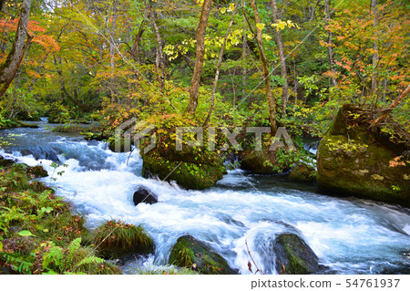 Autumn Oirase mountain stream Autumn Oirase mountain stream 54761937