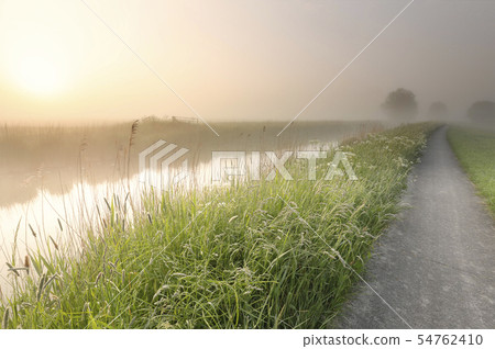 beautiful misty summer morning along river 54762410