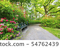 beautiful spring green park with many flowers 54762439