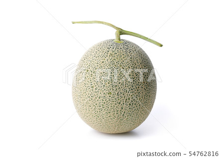 melon melon 54762816
