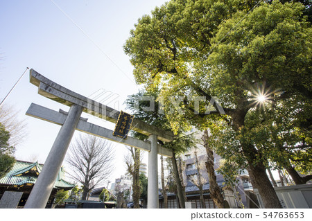 Ushima Shrine Ushima Shrine 54763653