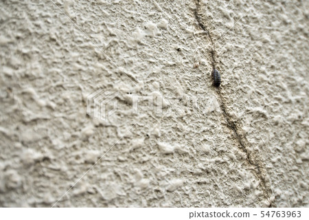 Texture cracked concrete wall spray mottled pattern white gray stain crack 54763963