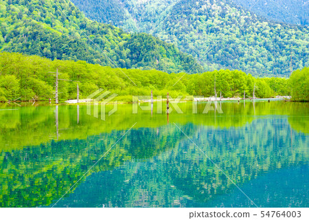 從新鮮的綠色Kamikochi和大正池[長野縣]的視圖 54764003