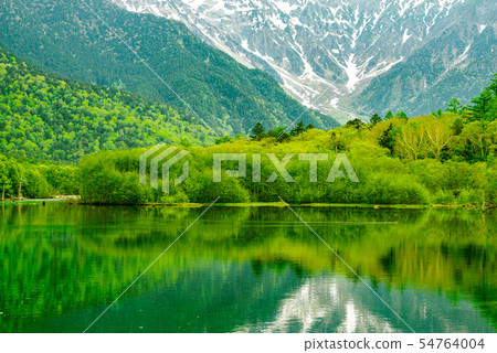 從新鮮的綠色Kamikochi和大正池[長野縣]的視圖 54764004