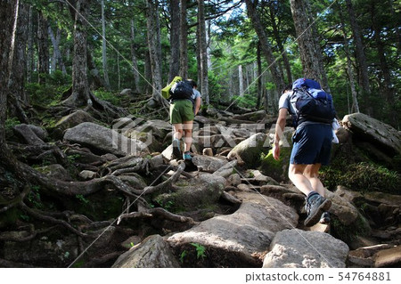 登山者爬山 54764881