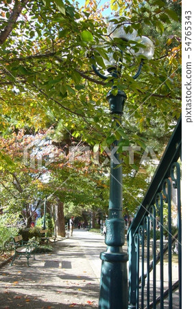 Autumn, next to Takarazuka flower stairs 54765343