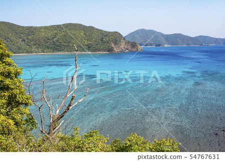Amami Oshima from the Manenzaki Bay of Katetsu Amami Emerald Blue Sea Oshima Strait Amami Tourist Spots Amami Oshima from the Manenzaki Bay of Katetsu Amami Emerald Blue Sea Oshima Strait Amami Tourist Spots 54767631