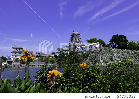 愛媛縣今治城堡Tenshukaku和Yamatotei Mizushiro Imabari 愛媛縣今治城堡Tenshukaku和Yamatotei Mizushiro Imabari 54770038