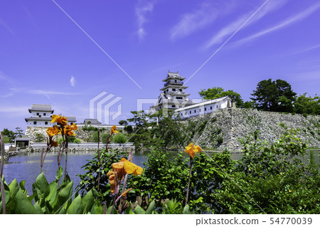愛媛縣今治城堡Tenshukaku和Yamatotei Mizushiro Imabari 愛媛縣今治城堡Tenshukaku和Yamatotei Mizushiro Imabari 54770039
