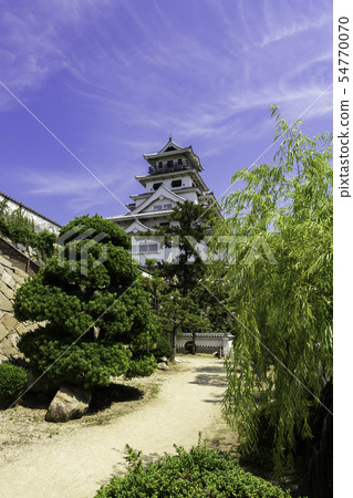 Imabari Castle Tower and Ishigaki Mizuki Imabari City, Ehime Prefecture Imabari Castle Tower and Ishigaki Mizuki Imabari City, Ehime Prefecture 54770070