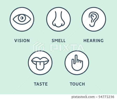 Five human senses vision eye, smell nose, hearing ear, touch hand, taste mouth and tongue. Line 54771236