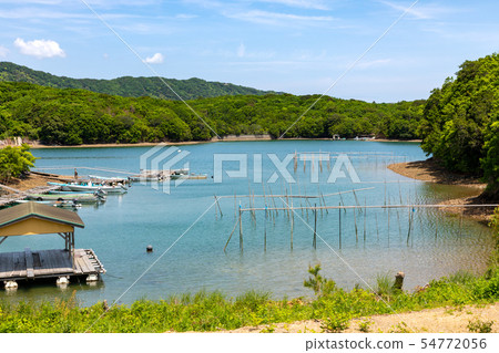The landscape of Agoga Bay The landscape of Agoga Bay 54772056