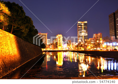 東京皇宮區櫻花海角和城市的夜景 54774140