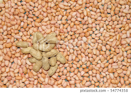 monkey nut-Close up view of peanut or groundnut. 54774358
