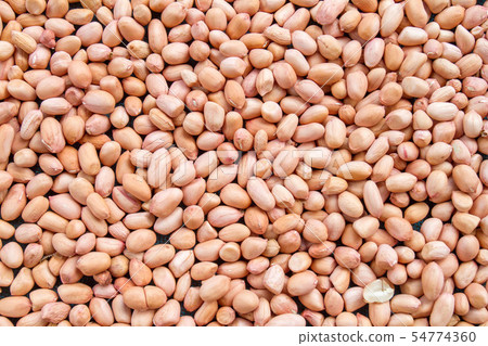 monkey nut-Close up view of peanut or groundnut. 54774360