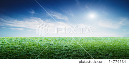 Grass field landscape panoramic Grass field landscape panoramic 54774384