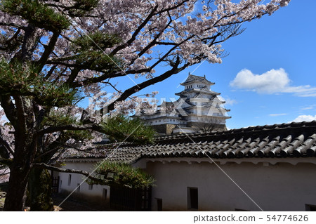 Himeji City, Hyogo Prefecture, Japan Himeji Castle, a World Heritage Site A beautiful cherry blossom, blue sky and a castle tower 54774626