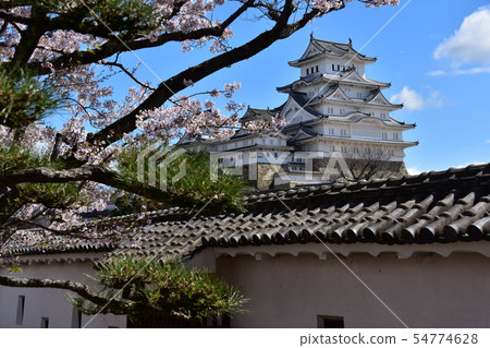 Himeji City, Hyogo Prefecture, Japan Himeji Castle, a World Heritage Site A beautiful cherry blossom, blue sky and a castle tower 54774628