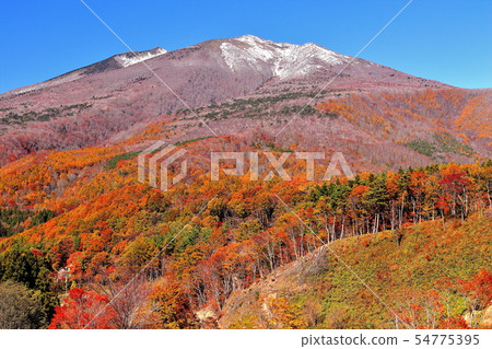 Unforgettable mountain of fresh snow and colored leaves of mountain ridge Unforgettable mountain of fresh snow and colored leaves of mountain ridge 54775395