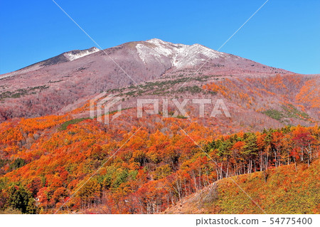 Unforgettable mountain of fresh snow and colored leaves of mountain ridge Unforgettable mountain of fresh snow and colored leaves of mountain ridge 54775400