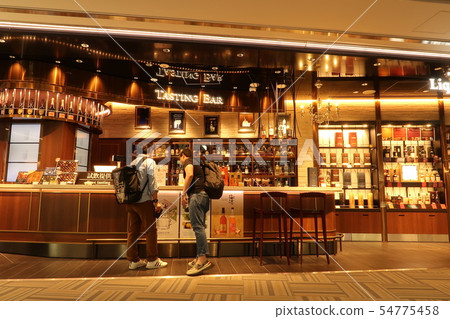 成田機場 54775458