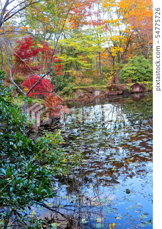 Autumn leaves on the waterside Autumn leaves on the waterside 54775726