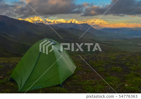 Sunrise view of Mount Denali - mt Mckinley peak with alpenglow during golden hour with green camping 54776363