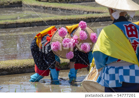 Midori種植節 54777201