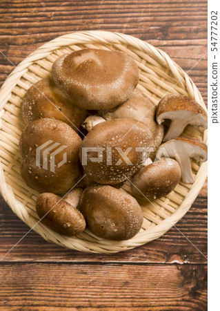 Shiitake Shiitake 54777202