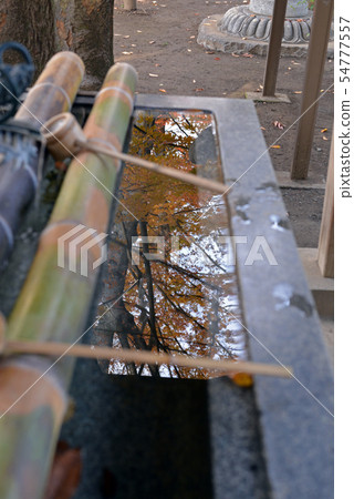 川崎市中原區的神社 川崎市中原區的神社 54777557