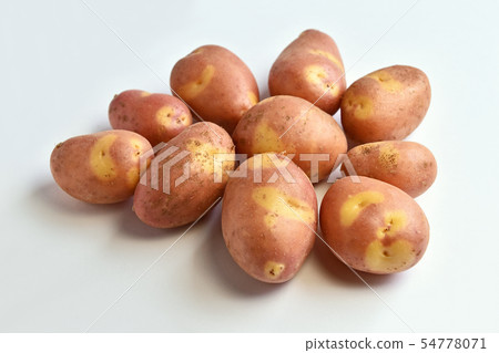 Potato (Inca's Hitomi) 54778071