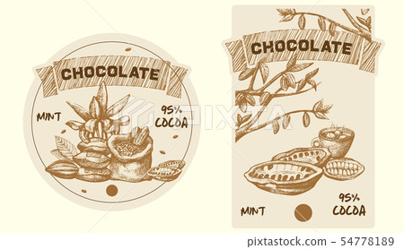 Cocoa leaves, tree and grains vector sketch illustration. Cacao hand drawn badge and banner in 54778189