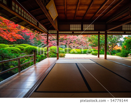 Autumn leaves of Shisen-do Autumn leaves of Shisen-do 54779144