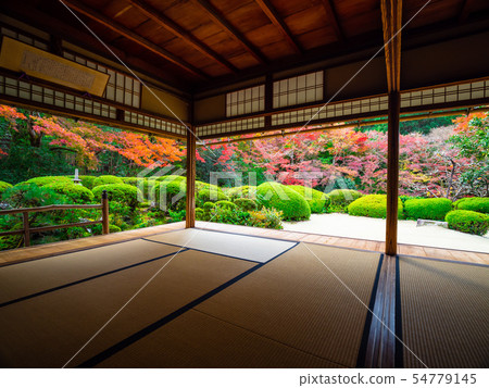 Shisen-do秋葉 54779145