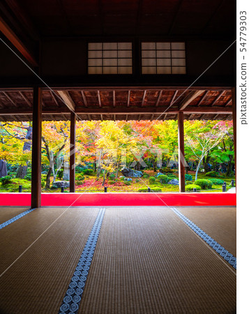 Autumn leaves of Enko-ji 54779303