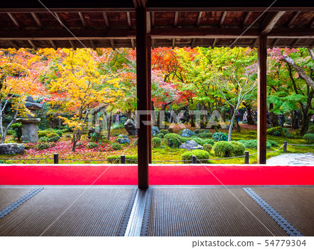 Autumn leaves of Enko-ji 54779304