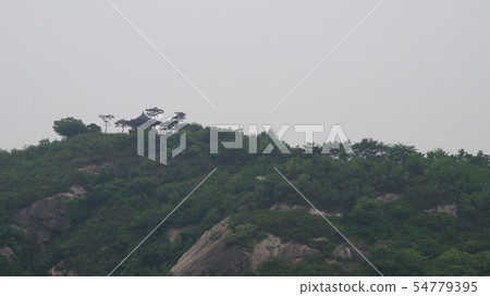 Sperm of the mountain top Sperm of the mountain top 54779395