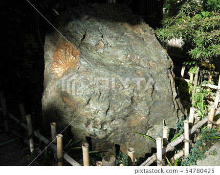 A chrysanthemum flower stone at the Inari Shrine of Bunkyo Ward 54780425