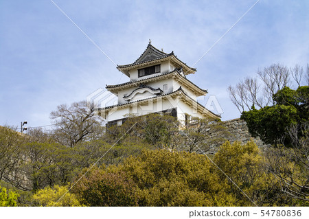 Marugame Castle Marugame Castle 54780836