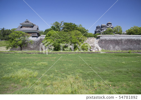 Koumi oaki of Kumamoto castle 54781892