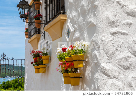 志摩地中海村莊白牆和花 志摩地中海村莊白牆和花 54781906