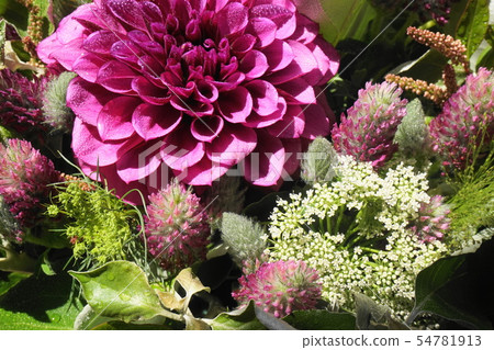 Arrangement Flower Arrangement Flower 54781913