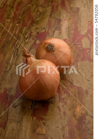 onion  54782056